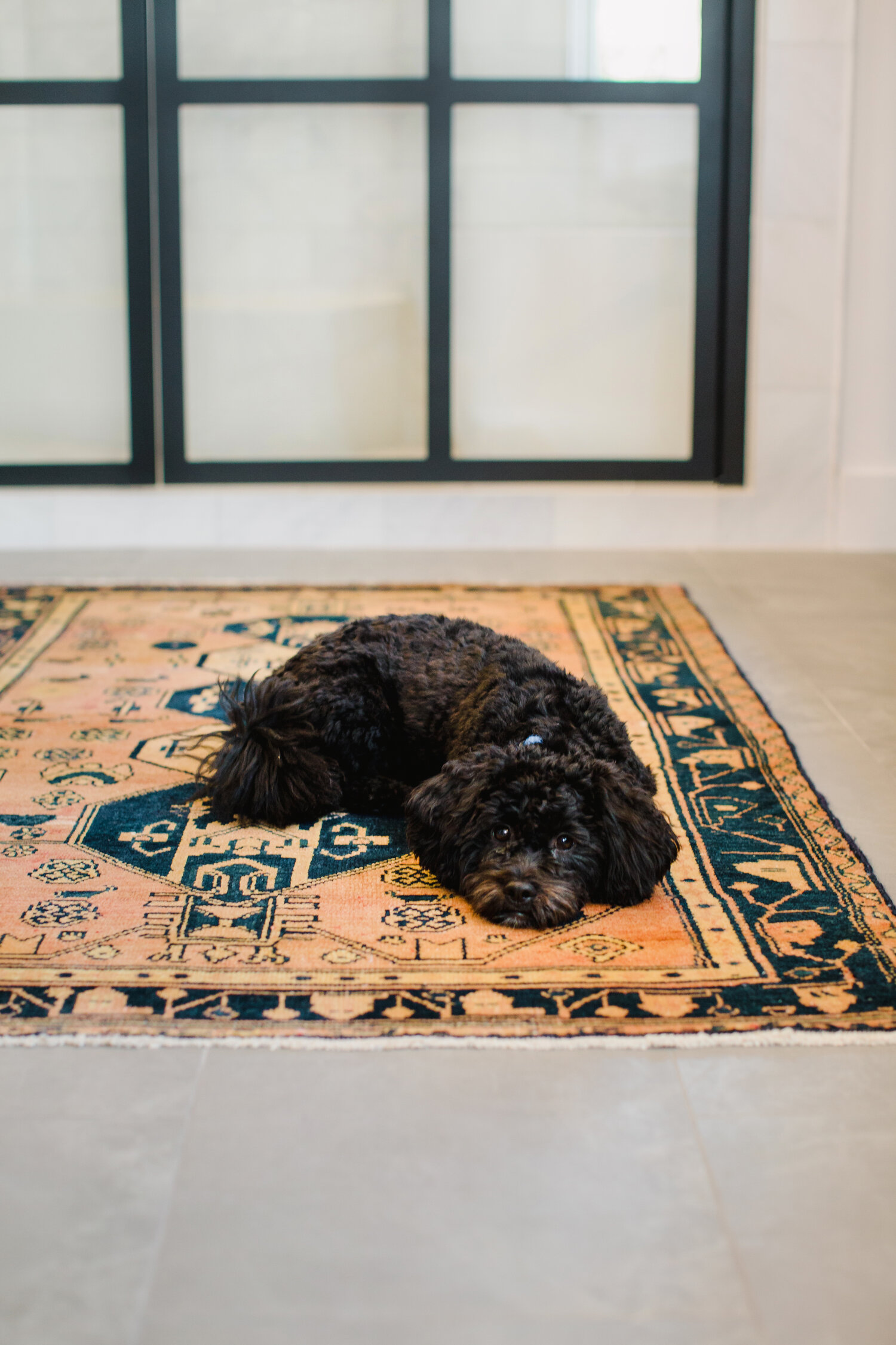 Exploring Pet Friendly Flooring Options For Your Home