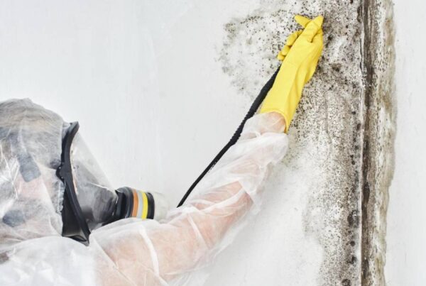 mold removal