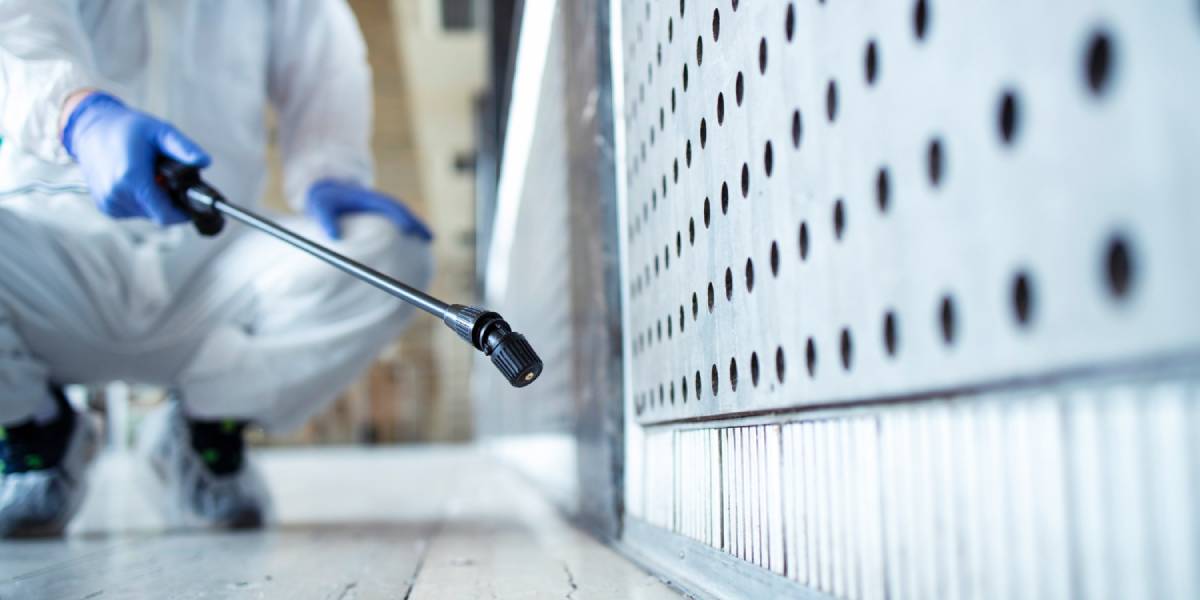 How to Get Rid of Gnats in Your House: A Homeowner’s Guide