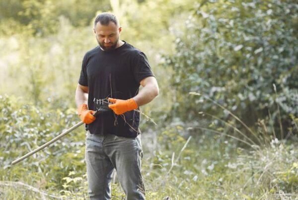 Skelly Kill Weeds in Lawn