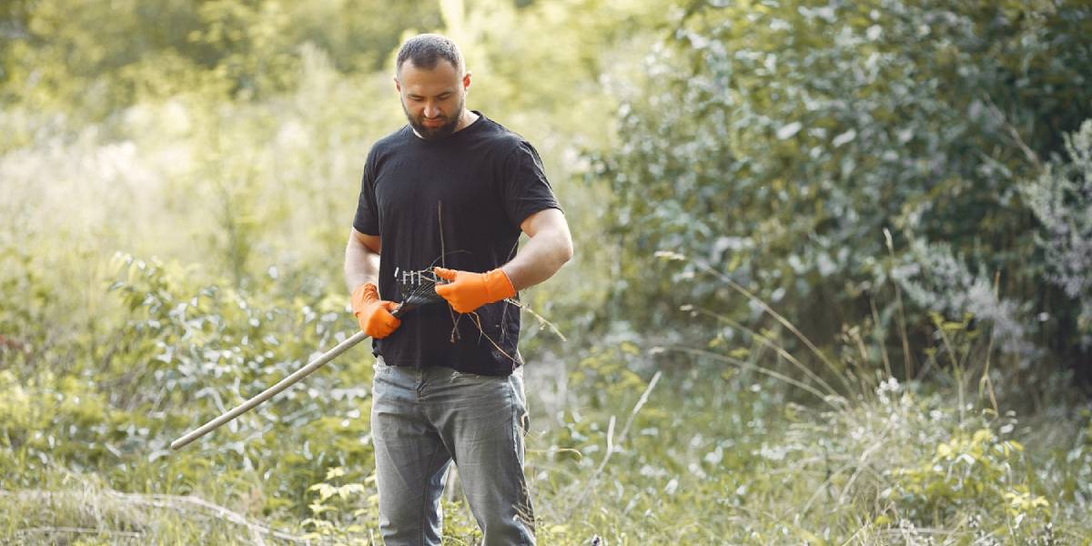 DIY How to Kill Weeds in Your Lawn Organically